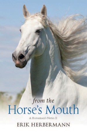 From the Horse's Mouth